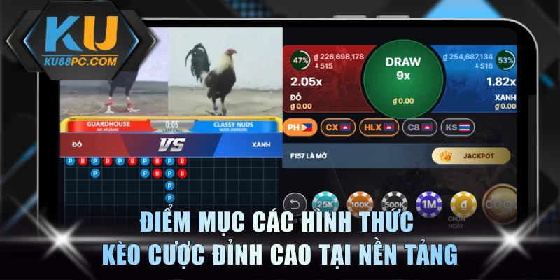 Xem Gà Đá 4K Sắc Nét Tại KU88| Link Không Chặn Số 1 Việt Nam 3 Điểm mục các hình thức kèo cược đỉnh cao tại nền tảng