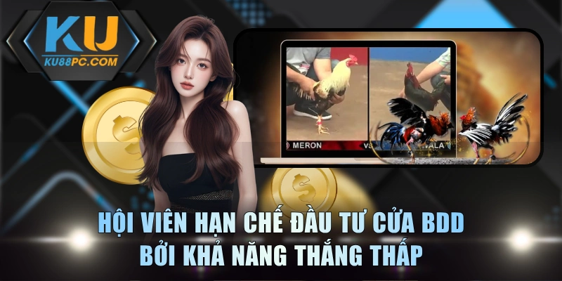 3 Cửa Cược Gà Chọi Hot Tại KU88 Và Bí Kíp Chắc Thắng 4 Hội viên hạn chế đầu tư cửa BDD bởi khả năng thắng thấp