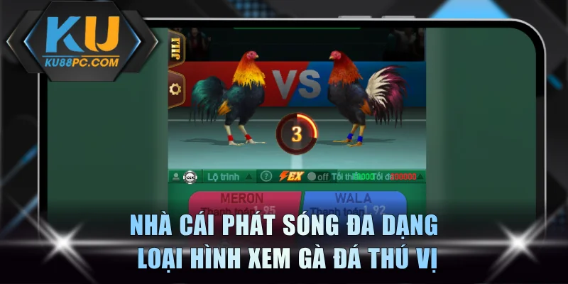 Xem Gà Đá 4K Sắc Nét Tại KU88| Link Không Chặn Số 1 Việt Nam 2 Nhà cái phát sóng đa dạng loại hình xem gà đá thú vị
