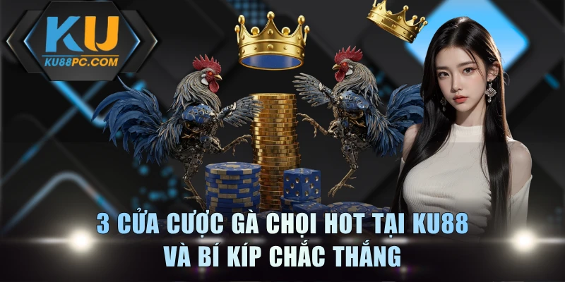 3 Cửa Cược Gà Chọi Hot Tại KU88 Và Bí Kíp Chắc Thắng 1 Cược Gà