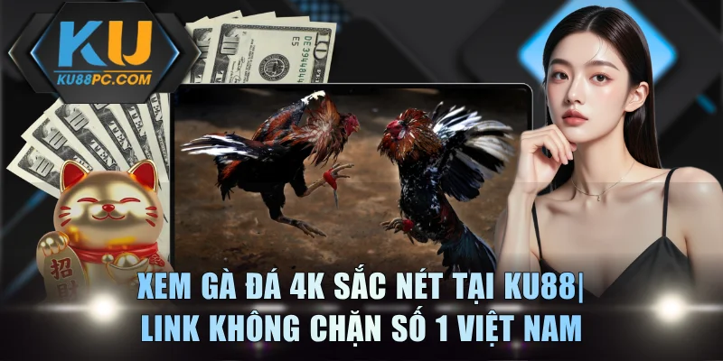 Xem Gà Đá 4K Sắc Nét Tại KU88| Link Không Chặn Số 1 Việt Nam 1 Xem Gà Đá